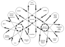 Classroom as a Complex Adaptive System